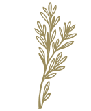 Στοιχείο από το λογότυπο του Thyme timeless stay στη Σίφνο